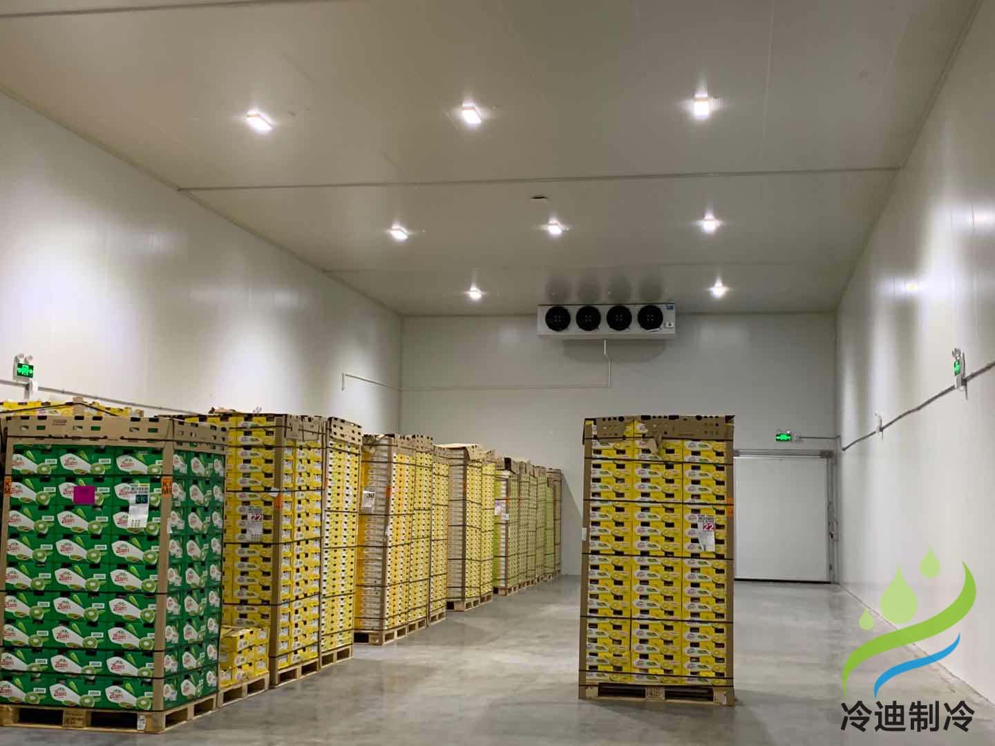 上海天天果園7320m3大型食品電商冷庫工程及舊庫檢修項目